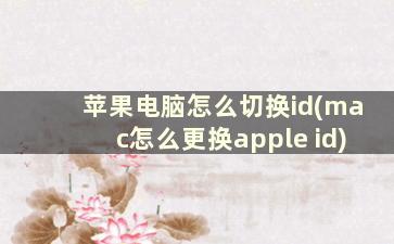 苹果电脑怎么切换id(mac怎么更换apple id)